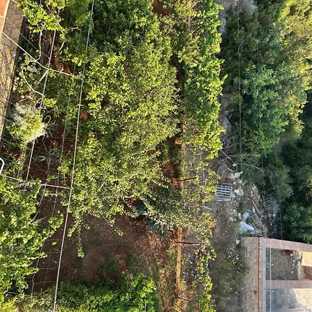 Mateo 3* Dhërmi
