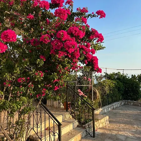 Gæstehus Mateo Dhërmi